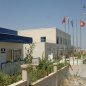 Güngör Kayısı & Golden Branch
