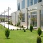 Güngör Kayısı & Golden Branch